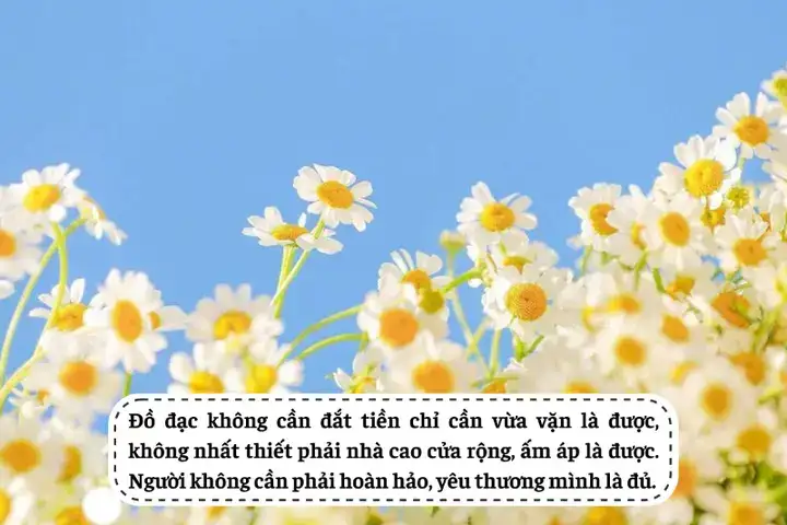 câu nói hay về vợ chồng son câu nói hay về vợ chồng son
