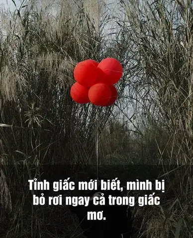 những câu nói hay về tình yêu bị bỏ rơi