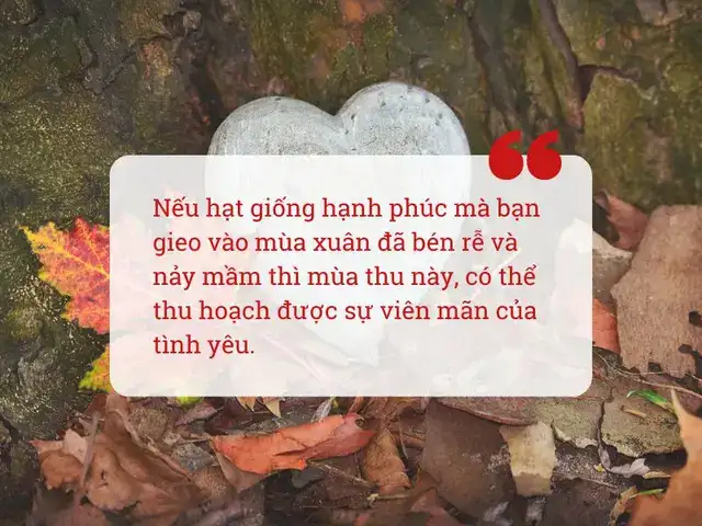 câu nói hay về tình yêu mùa thu