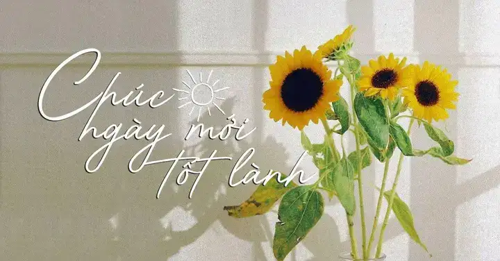 câu nói hay chúc ngày mới câu nói hay chúc ngày mới