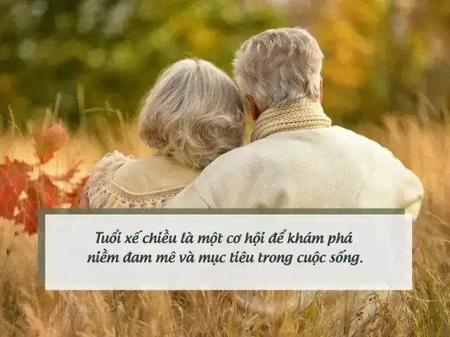 những câu nói hay về tuổi hợi