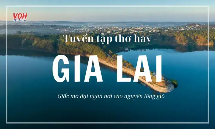 những câu nói hay về gia lai