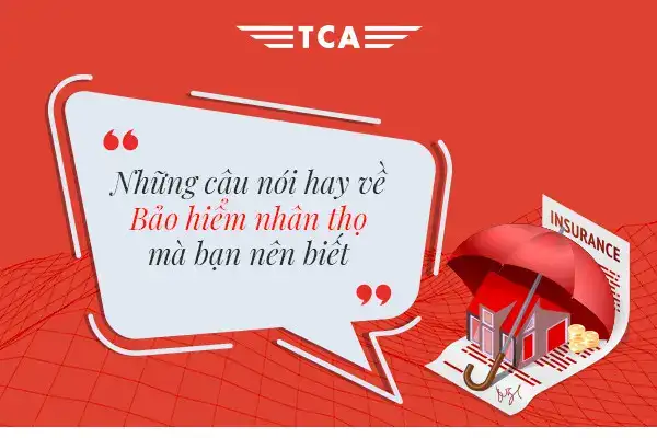 những câu nói hay về bão