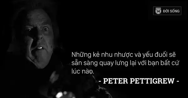 những câu nói hay về bài học cuộc sống