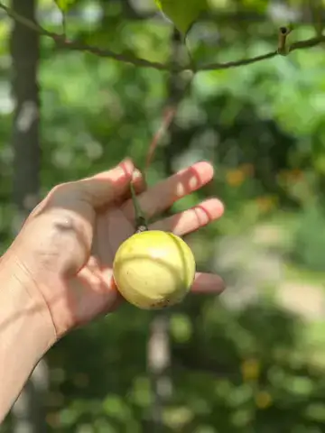 những câu nói hay trong người đi bán nắng