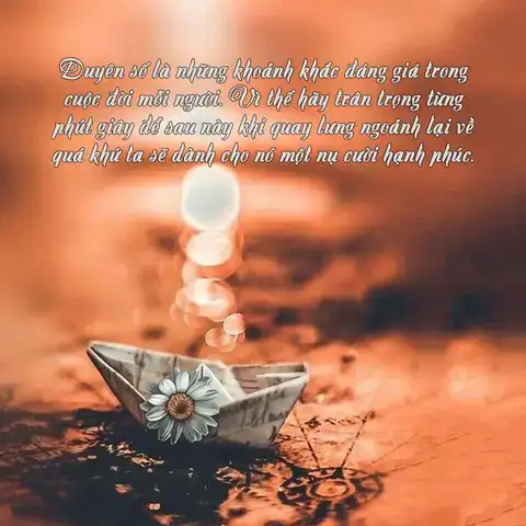 câu nói hay về sự gặp gỡ