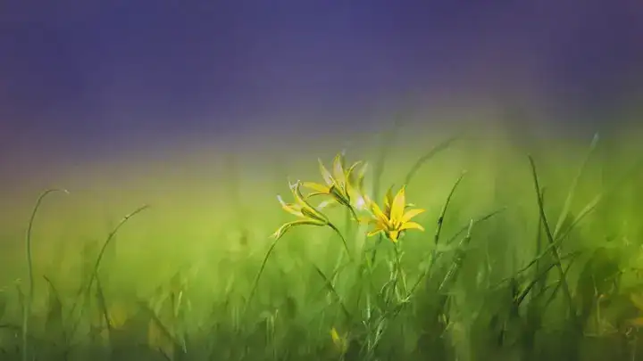 những câu nói hay về thành công và hạnh phúc