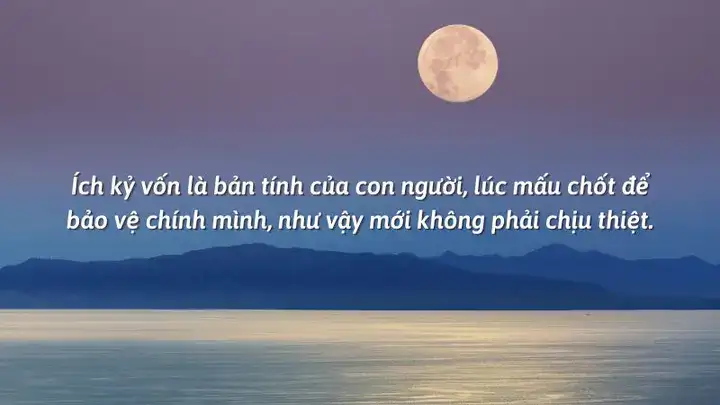 những câu nói hay về sự hy sinh của vợ