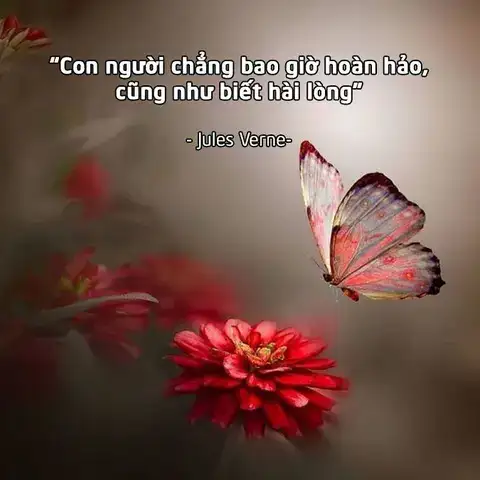 những câu nói hay về sự hoàn hảo