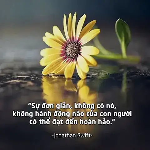 những câu nói hay về sự hoàn hảo