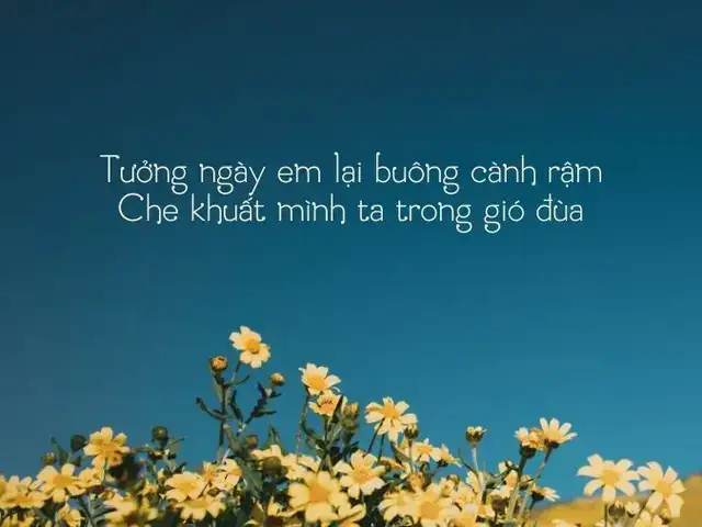 những câu nói hay của chế lan viên