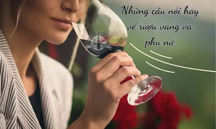 những câu nói hay về say