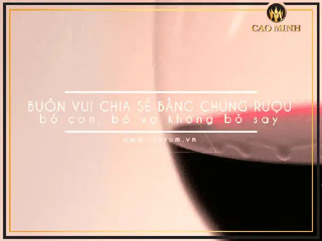 những câu nói hay về rượu vang bằng tiếng anh