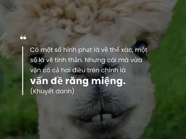 những câu nói hay về răng khểnh