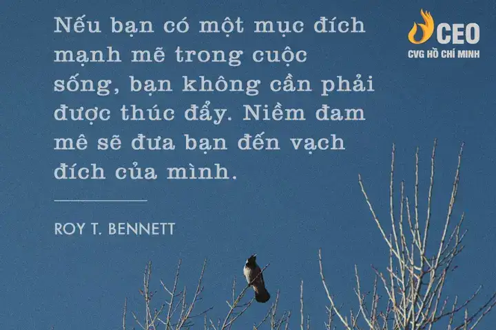 câu nói chế hay về cuộc sống
