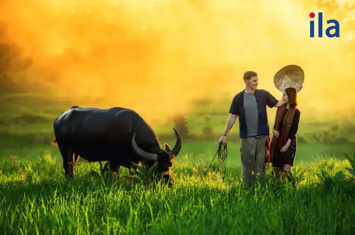 những câu nói hay về quê hương bằng tiếng anh