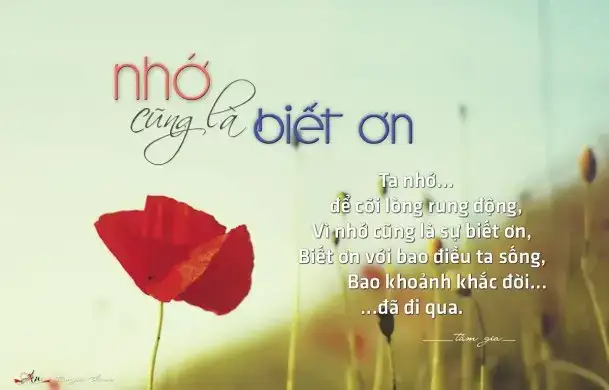 câu nói về sự vô ơn bạc nghĩa