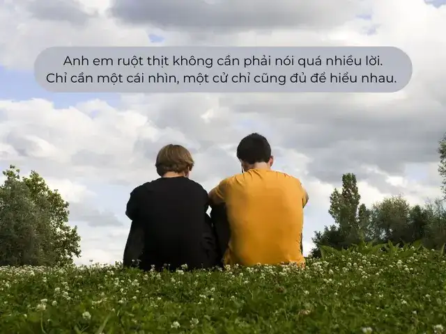 câu nói hài hước về tình anh em câu nói hài hước về tình anh em