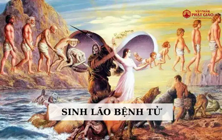 câu nói sinh lão bệnh tử