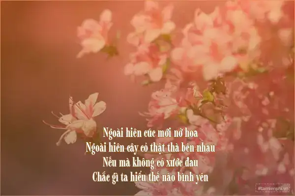 câu nói hài hước về mùa xuân