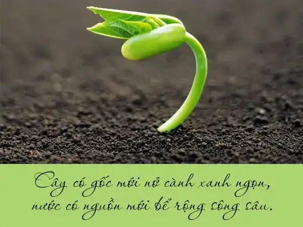 chứng minh câu nói ăn quả nhớ kẻ trồng cây