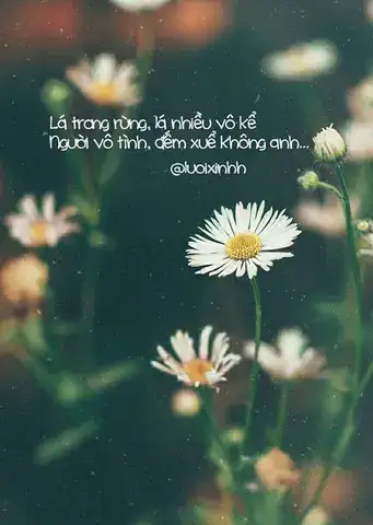 câu nói hay về cuộc sống xa nhà