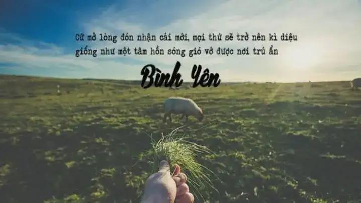 câu nói hay về bình an