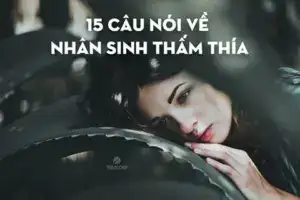 15 câu nói về nhân sinh thấm thía