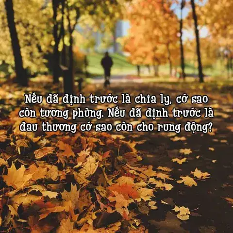 câu nói về sự chia ly