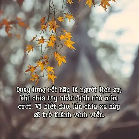 câu nói về sự chia ly