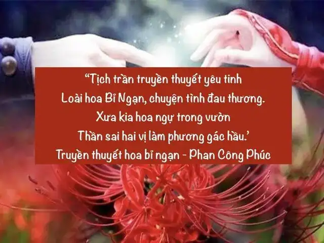 câu nói hay về hoa bỉ ngạn