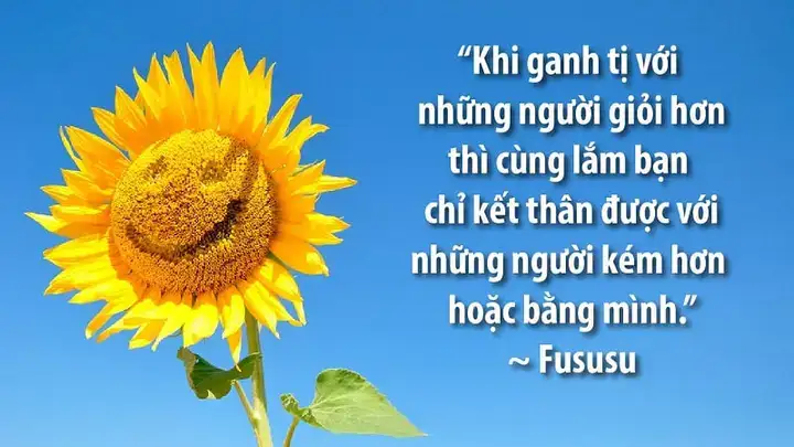 những câu nói về sự ganh tị