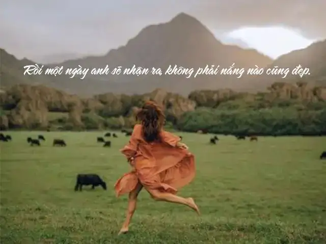 câu nói hay về người thứ 3