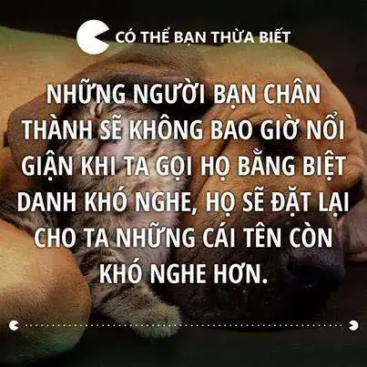 câu nói về tình bạn buồn