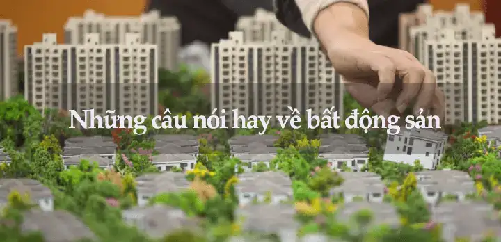 câu nói hay về sale