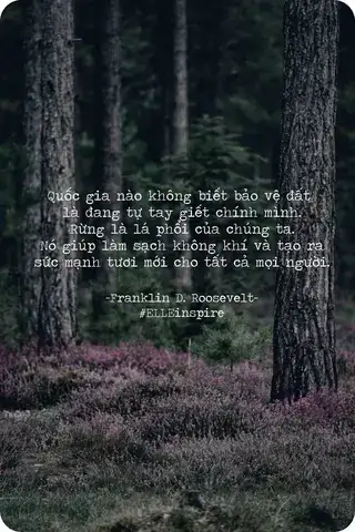 câu nói hay về trồng cây