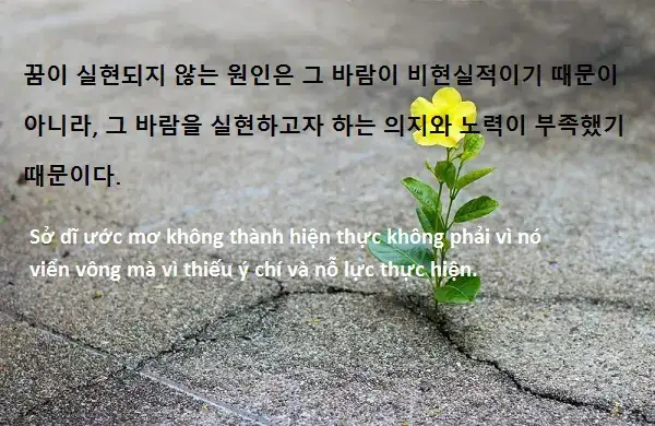 những câu nói về ước mơ bằng tiếng hàn