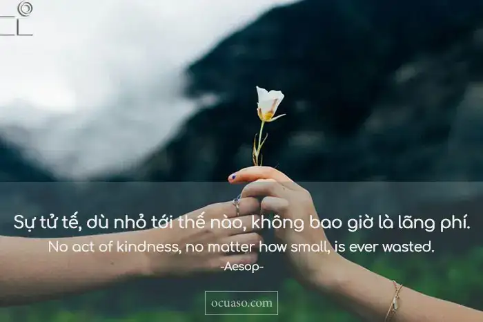 những câu nói hay về lòng tốt bị lợi dụng