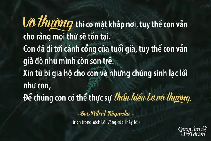 những câu nói hay về lên voi xuống chó