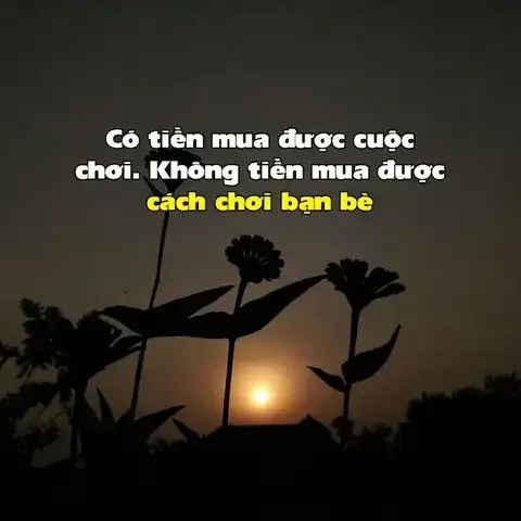 những câu nói châm biếm về tình bạn
