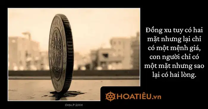 những câu nói mỉa mai người khác