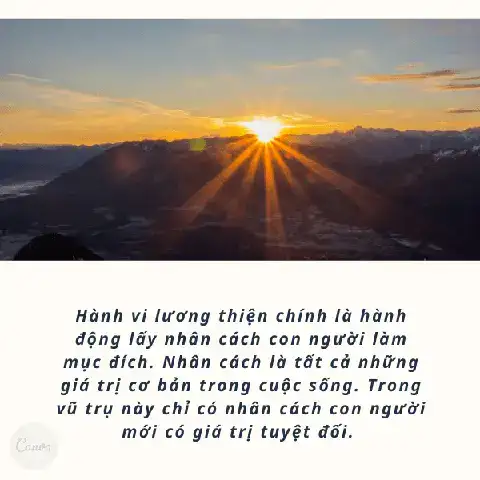 những câu nói hay về nhẫn cưới