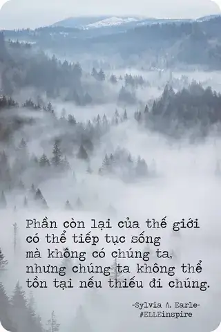 những câu nói hay về bảo vệ động vật