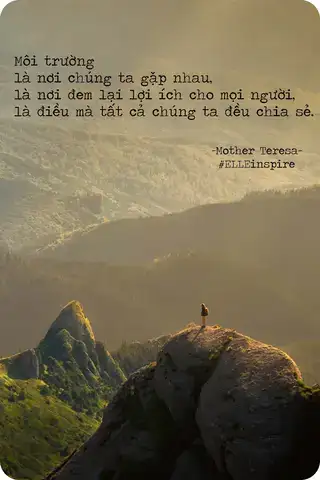 những câu nói hay về bảo vệ động vật