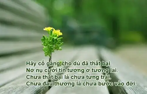 câu nói buồn về công việc