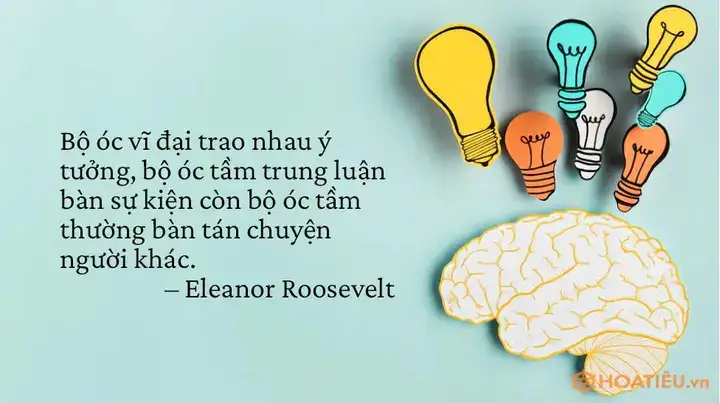 những câu nói xéo hay