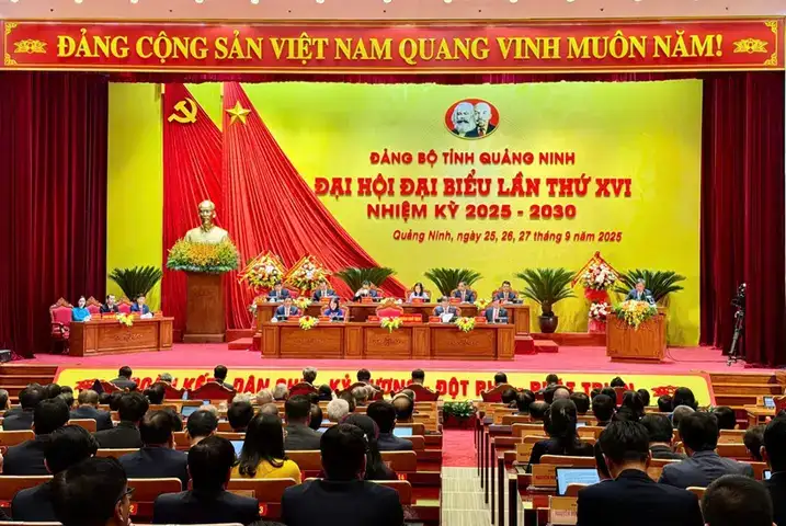 những câu nói về dân hải phòng