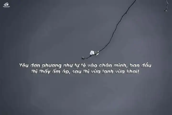 những câu nói hài hước về tình yêu đơn phương