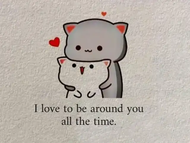 những câu nói khiến chàng cười