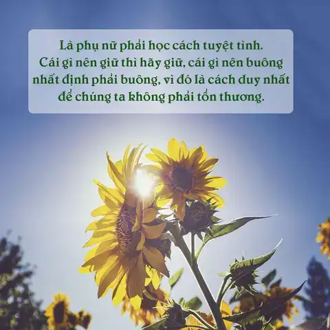 câu nói hay về sự chấp nhận